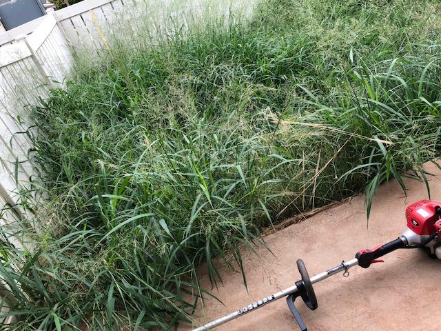 Kepa Can LLC: Service Image-11 Kepa Can LLC: Service Image-11