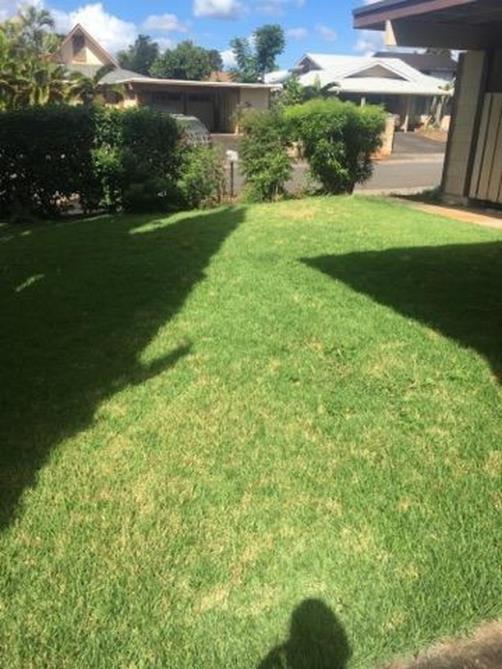 Kepa Can LLC: Service Image-16 Kepa Can LLC: Service Image-16