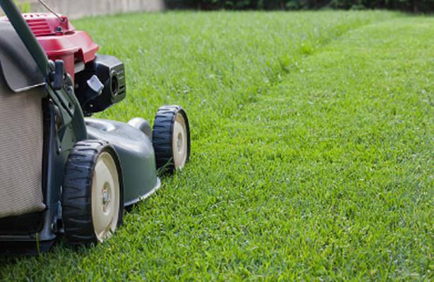 Kepa Can LLC: Service Image-4 Kepa Can LLC: Service Image-4