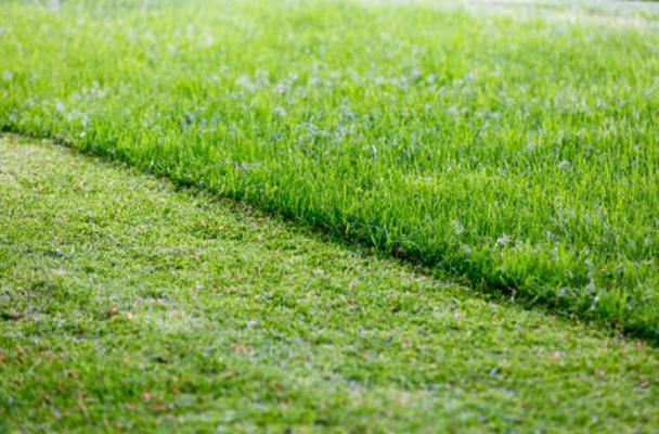 Kepa Can LLC: Service Image-5 Kepa Can LLC: Service Image-5