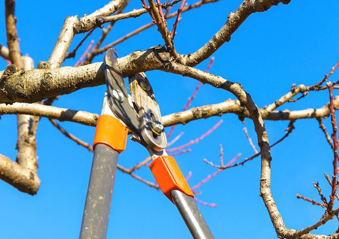 Kepa Can LLC: Service Image-8 Kepa Can LLC: Service Image-8